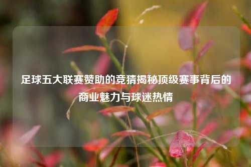 足球五大联赛赞助的竞猜揭秘顶级赛事背后的商业魅力与球迷热情
