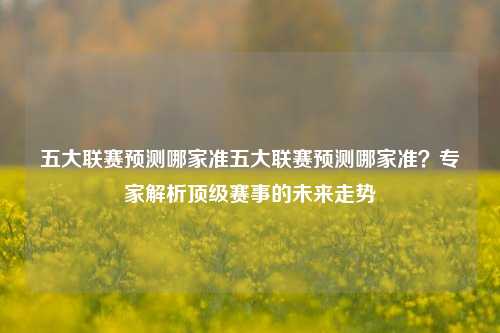 五大联赛预测哪家准五大联赛预测哪家准？专家解析顶级赛事的未来走势