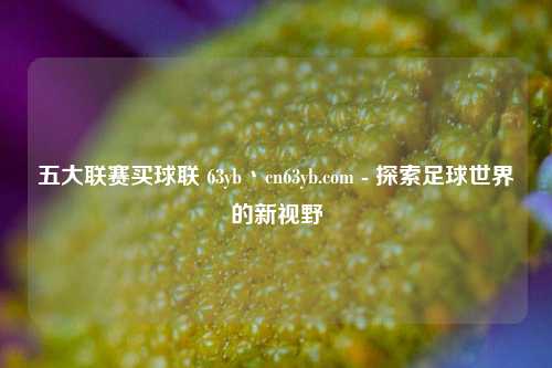 五大联赛买球联 63yb丶cn63yb.com - 探索足球世界的新视野