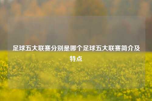 足球五大联赛分别是哪个足球五大联赛简介及特点