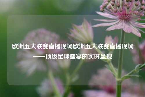欧洲五大联赛直播现场欧洲五大联赛直播现场——顶级足球盛宴的实时呈现