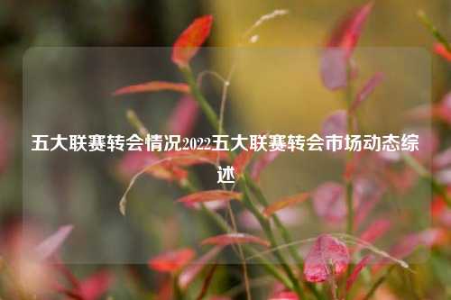五大联赛转会情况2022五大联赛转会市场动态综述