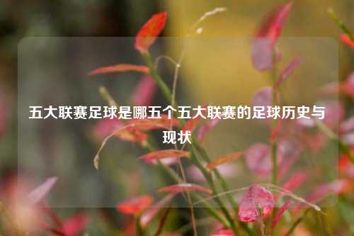 五大联赛足球是哪五个五大联赛的足球历史与现状