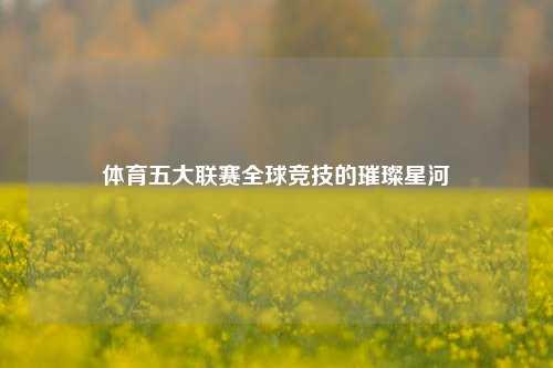 体育五大联赛全球竞技的璀璨星河