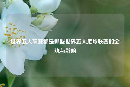 世界五大联赛都是哪些世界五大足球联赛的全貌与影响