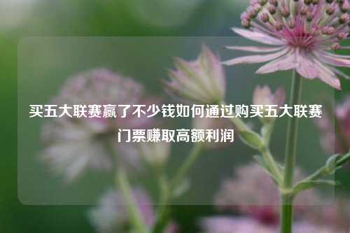买五大联赛赢了不少钱如何通过购买五大联赛门票赚取高额利润