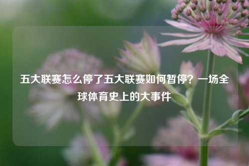 五大联赛怎么停了五大联赛如何暂停？一场全球体育史上的大事件