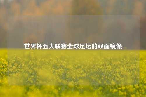 世界杯五大联赛全球足坛的双面镜像