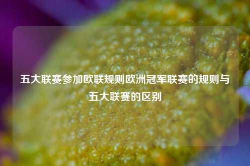 五大联赛参加欧联规则欧洲冠军联赛的规则与五大联赛的区别