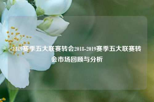 1819赛季五大联赛转会2018-2019赛季五大联赛转会市场回顾与分析