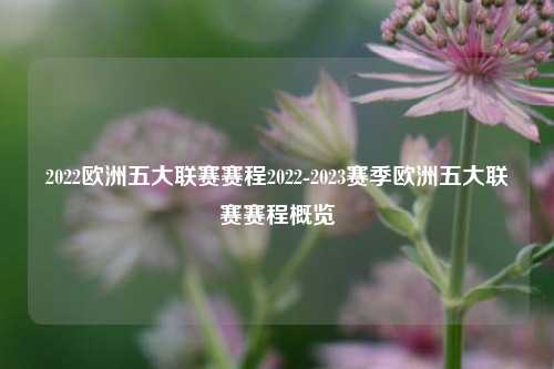 2022欧洲五大联赛赛程2022-2023赛季欧洲五大联赛赛程概览
