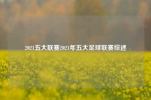 2021五大联赛2021年五大足球联赛综述