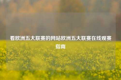 看欧洲五大联赛的网站欧洲五大联赛在线观赛指南