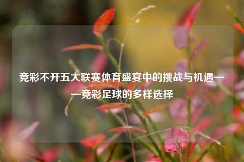 竞彩不开五大联赛体育盛宴中的挑战与机遇——竞彩足球的多样选择