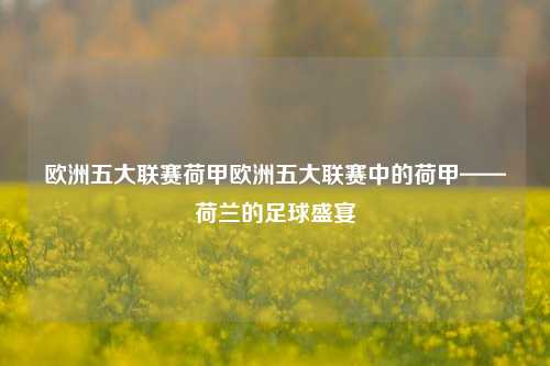 欧洲五大联赛荷甲欧洲五大联赛中的荷甲——荷兰的足球盛宴