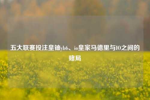 五大联赛投注皇铀yb6、io皇家马德里与IO之间的赌局