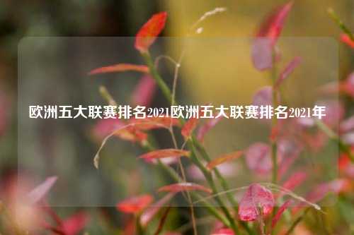 欧洲五大联赛排名2021欧洲五大联赛排名2021年