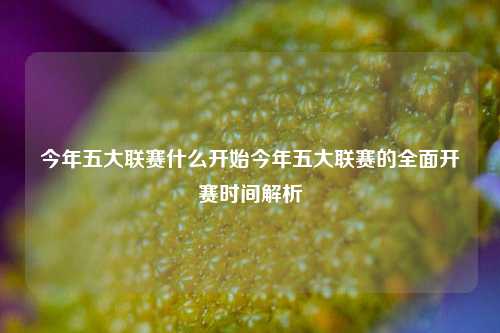 今年五大联赛什么开始今年五大联赛的全面开赛时间解析