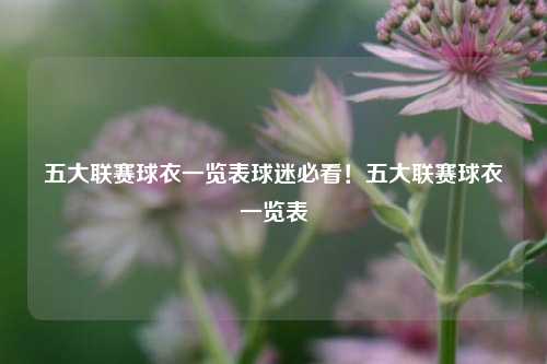 五大联赛球衣一览表球迷必看！五大联赛球衣一览表