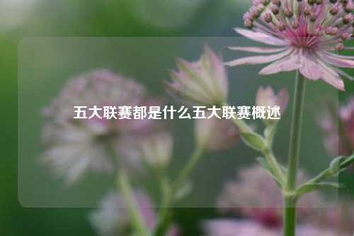 五大联赛都是什么五大联赛概述