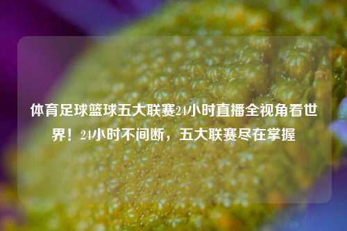 体育足球篮球五大联赛24小时直播全视角看世界！24小时不间断，五大联赛尽在掌握