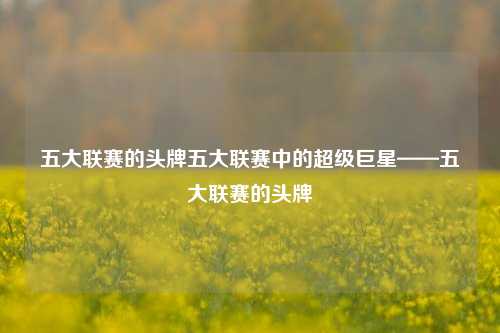 五大联赛的头牌五大联赛中的超级巨星——五大联赛的头牌