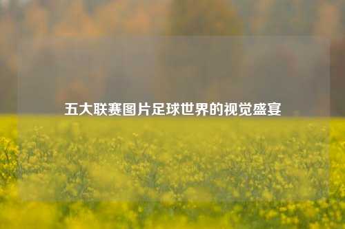 五大联赛图片足球世界的视觉盛宴