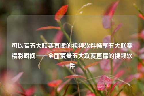 可以看五大联赛直播的视频软件畅享五大联赛精彩瞬间——全面覆盖五大联赛直播的视频软件
