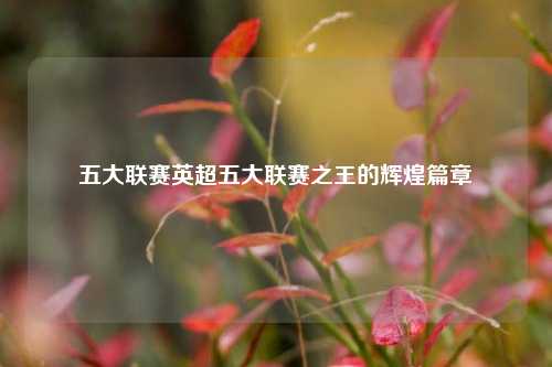 五大联赛英超五大联赛之王的辉煌篇章