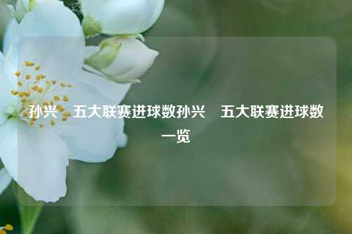 孙兴慜五大联赛进球数孙兴慜五大联赛进球数一览