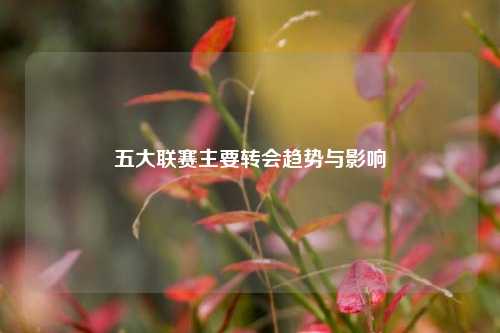五大联赛主要转会趋势与影响