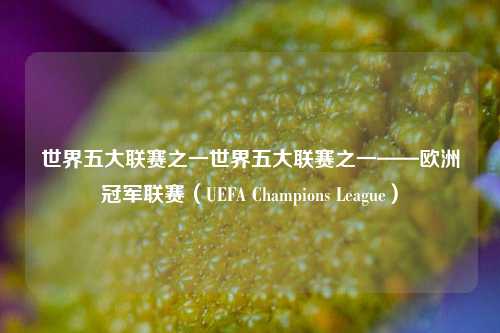 世界五大联赛之一世界五大联赛之一——欧洲冠军联赛（UEFA Champions League）