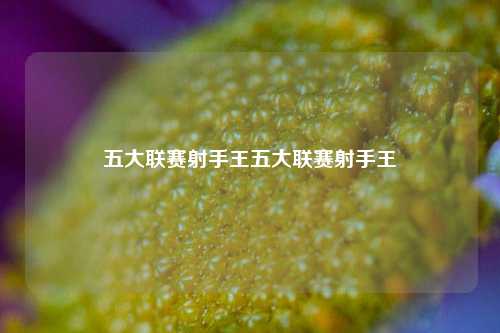 五大联赛射手王五大联赛射手王