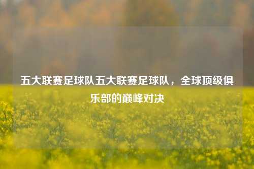 五大联赛足球队五大联赛足球队，全球顶级俱乐部的巅峰对决