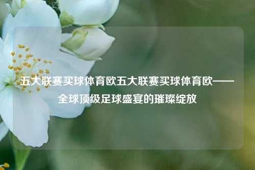 五大联赛买球体育欧五大联赛买球体育欧——全球顶级足球盛宴的璀璨绽放
