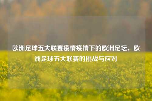 欧洲足球五大联赛疫情疫情下的欧洲足坛，欧洲足球五大联赛的挑战与应对