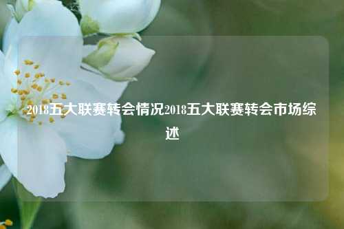 2018五大联赛转会情况2018五大联赛转会市场综述