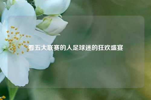 看五大联赛的人足球迷的狂欢盛宴