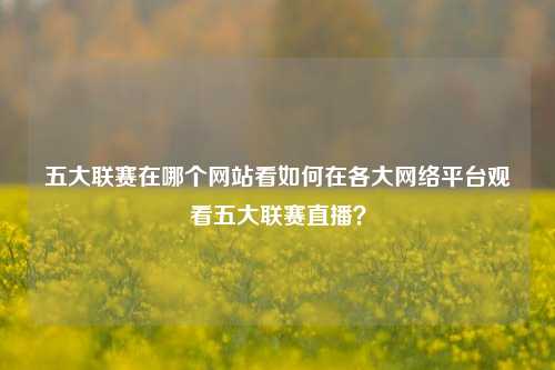 五大联赛在哪个网站看如何在各大网络平台观看五大联赛直播？
