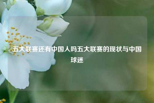 五大联赛还有中国人吗五大联赛的现状与中国球迷