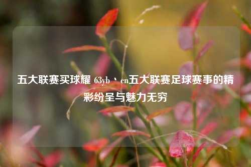 五大联赛买球耀 63yb丶cn五大联赛足球赛事的精彩纷呈与魅力无穷