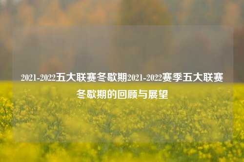 2021-2022五大联赛冬歇期2021-2022赛季五大联赛冬歇期的回顾与展望