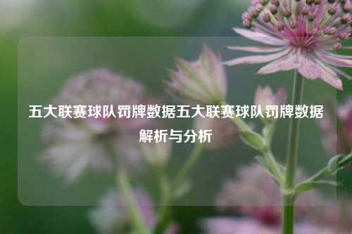 五大联赛球队罚牌数据五大联赛球队罚牌数据解析与分析