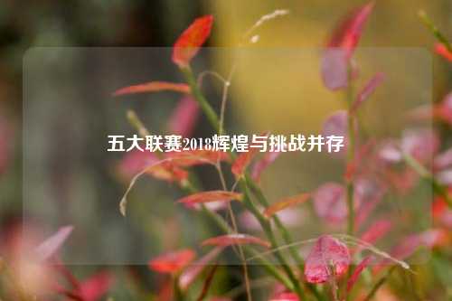 五大联赛2018辉煌与挑战并存