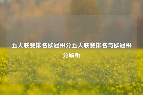 五大联赛排名欧冠积分五大联赛排名与欧冠积分解析