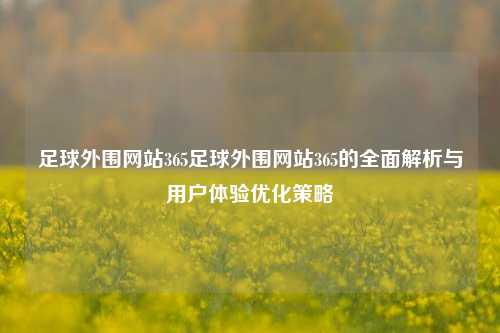 足球外围网站365足球外围网站365的全面解析与用户体验优化策略