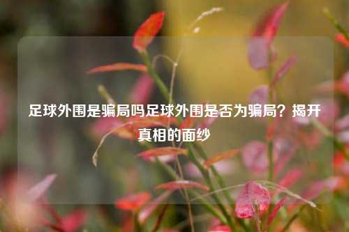 足球外围是骗局吗足球外围是否为骗局？揭开真相的面纱