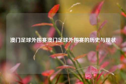 澳门足球外围赛澳门足球外围赛的历史与现状