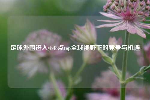 足球外围进入yb48点top全球视野下的竞争与机遇