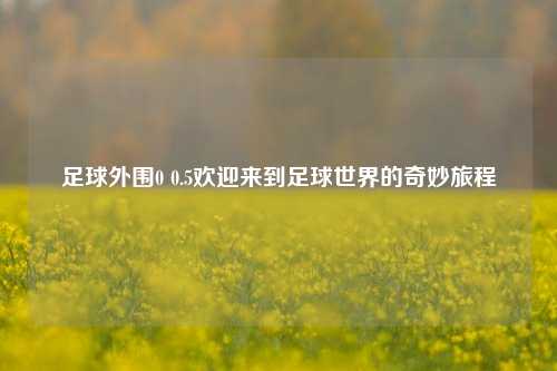 足球外围0 0.5欢迎来到足球世界的奇妙旅程